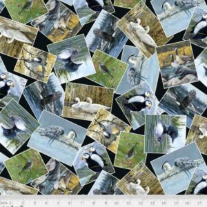 45" P & B Textiles Into The Wild