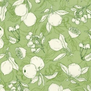 45" RJR Fabrics Ambrosia Farm
