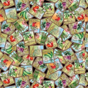 45" Blank Quilting Blissful Bounty