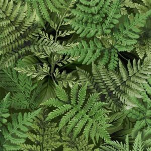 45" Michael Miller Fern Frolic