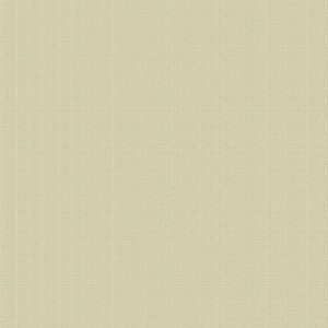 45" Andover Fabrics Compass NorthWoven Cotton