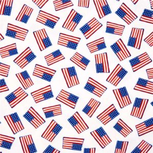 45" Michael Miller Star Spangled