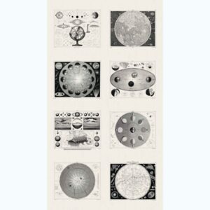 45" Andover Fabrics Sweet Tweets 24" Panel