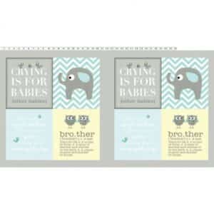 45" Clothworks Brother Sister