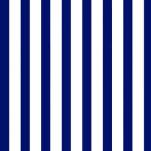 45" Quilting Treasures Dots & Stripes