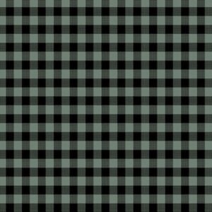 45" Andover Fabrics Compass NorthWoven Cotton