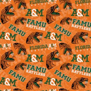 45" Florida A & M Rattlers