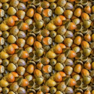 45" Blank Quilting National Treasure II