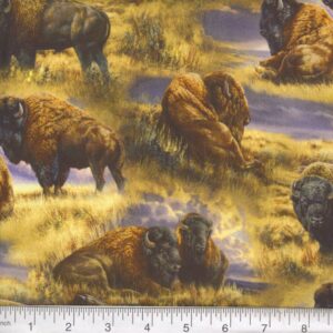 45" Bison Range Scenic