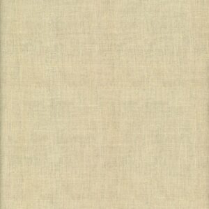 45" Timeless Treasures Sketch Texture