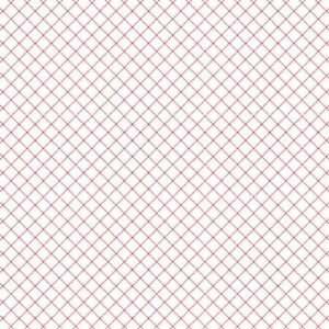 45" Studio E Fabric Raspberry Ripple Diagonal Plaid