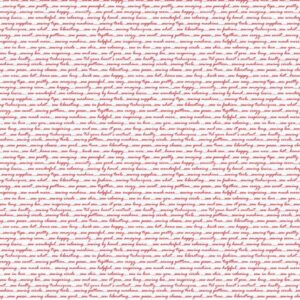 45" Studio E Fabric Raspberry Ripple Words