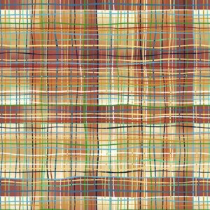 45" Studio E Fabrics Portfolio Of Landscape Watercolor Plaid