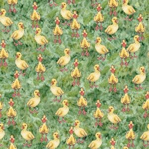 45" Blank Quilting Out Of Farms Way Ducklings