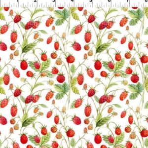 45" In The Beginning Fabrics Hedgehog Hollow