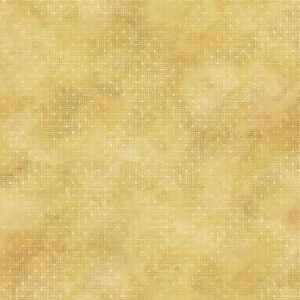 45" In The Beginning Fabrics Prism