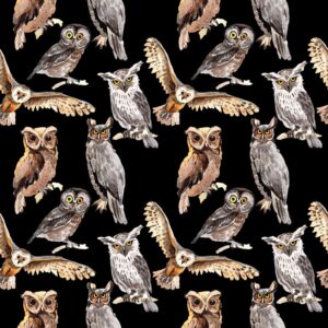 45" Tossed Owls Allover