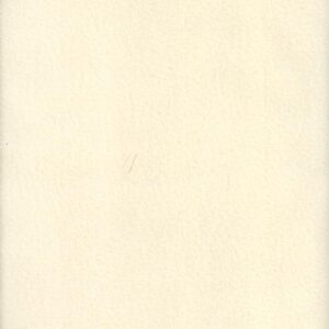 60" MDG Cuddle Fleece Solids Natural