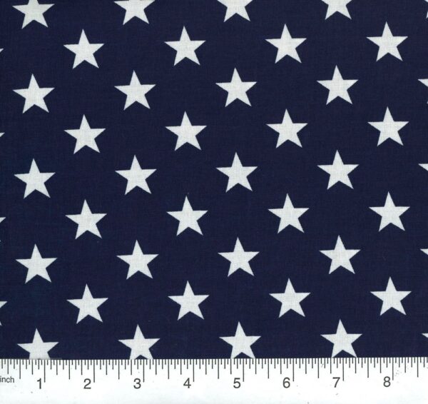orig_86556_PATRIOTIC-30