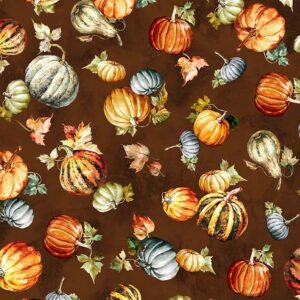 45" Michael Miller Pumpkin Field