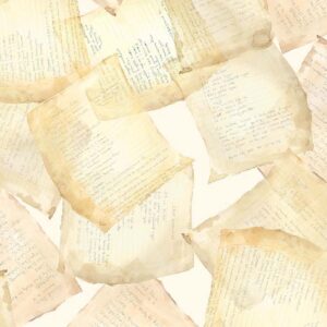 45" Michael Miller Secret Ingredients