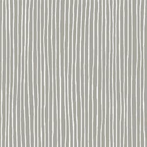 45" Michael Miller Silky Stripe