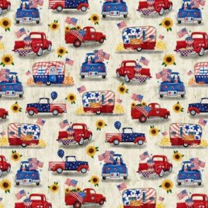 45" Michael Miller Positively Patriotic