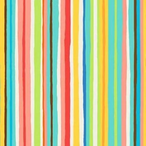 45" Michael Miller Alpha Stripe