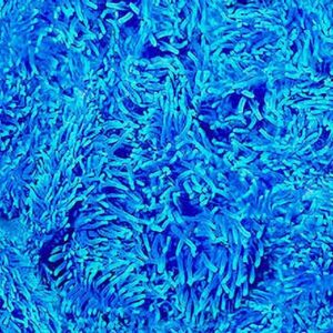 45" Michael Miller Jewels Of The Sea Anemone