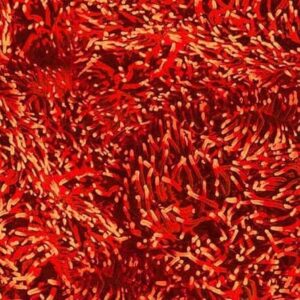 45" Michael Miller Jewels Of The Sea Anemone