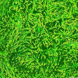 45" Michael Miller Jewels Of The Sea Anemone