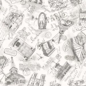 45" Michael Miller Silhouettes De Paris