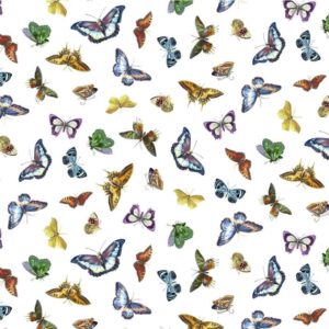 45" Michael Miller Bright Butterflies
