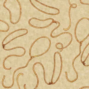 45" Quilting Treasures Cowboy Up