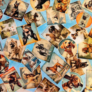 45" Quilting Treasures Top Dog