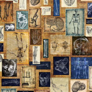 45" Quilting Treasures True Detective