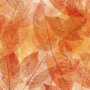 45" In The Beginning Fabrics Reflections Of Autumn 2