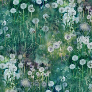 45" Hoffman Fabrics Dandelion Wishes