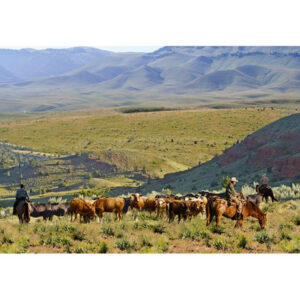 45" Hoffman Fabrics On The Range