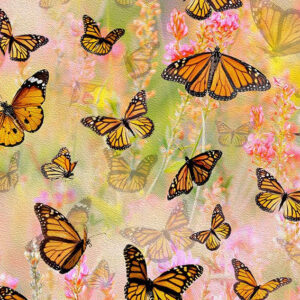 45" Hoffman Mariposa Masterpiece