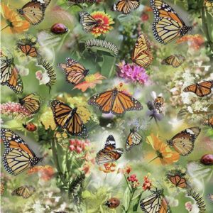 45" Hoffman Mariposa Masterpiece