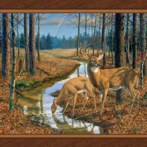 45" MDG After The Rain Panel