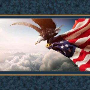 45" MDG Flight Of Freedom Panel