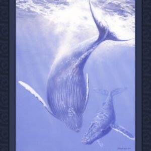 45" MDG Ohana Blue Whale Panel
