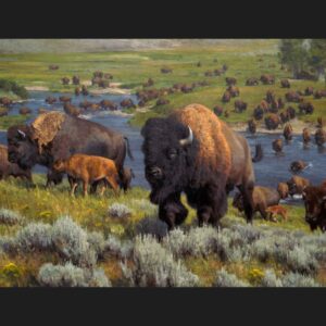 45" MDG An American Migration Buffalo Panel
