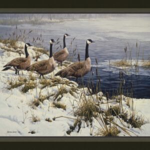 45" MDG Among The Cattails Canadian Geese Panel