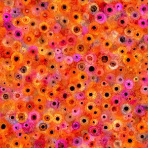 45" MDG Lolliloops Digital