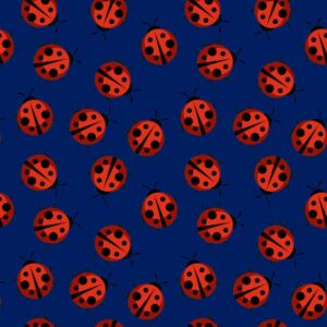 45" Ladybug Shuffle Allover