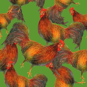 45" Cock-A-Doodle Chickens Allover