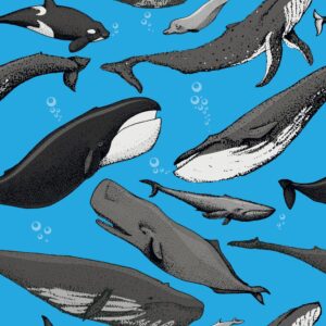 45" Whales Allover